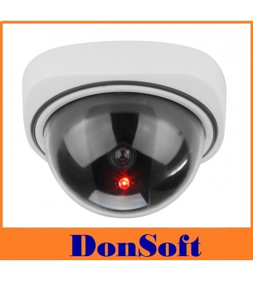 Фалшива куполна камера DS-511N